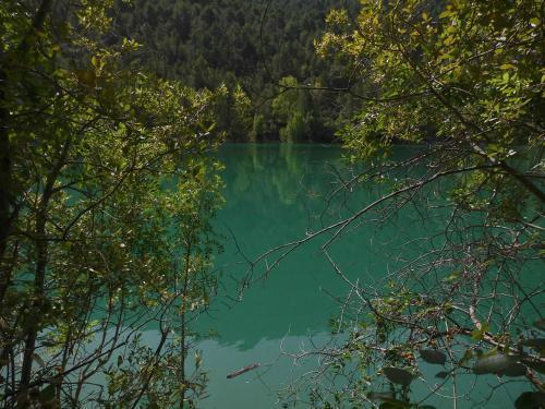 Alojamiento Los Sauces - Rio Madera